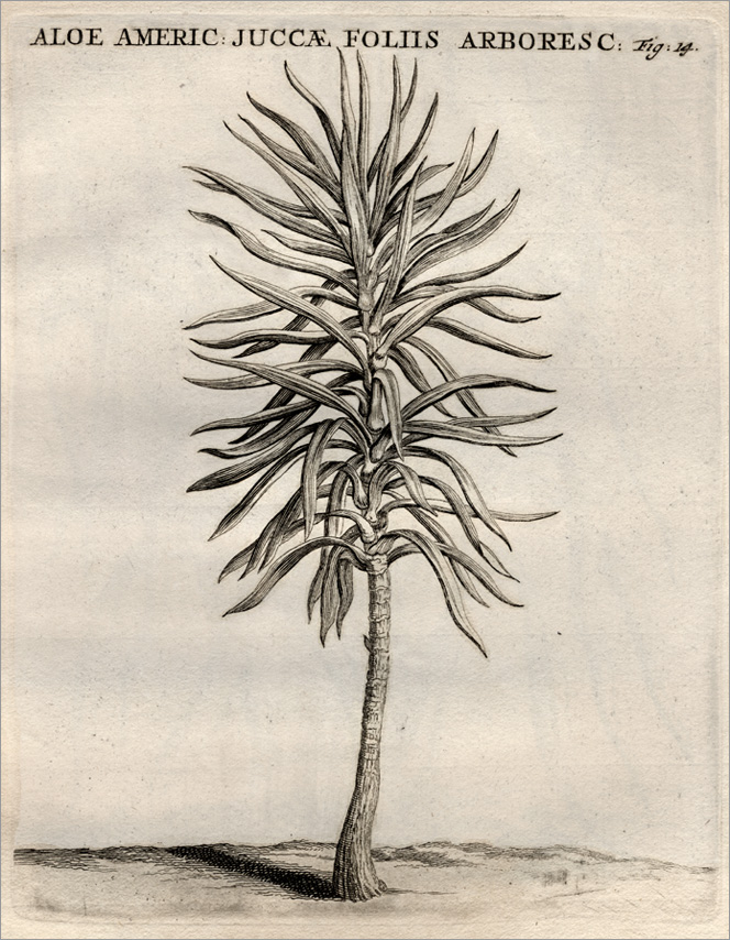 Fig. 14 Fig. 14