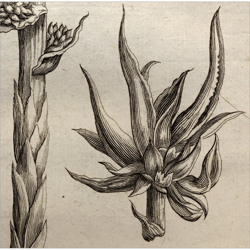 particolare della Fig. 15 particolare della Fig. 15