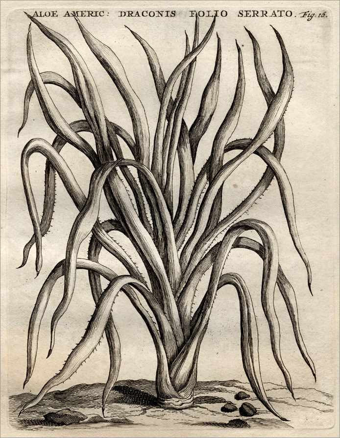 Fig. 16 Fig. 16