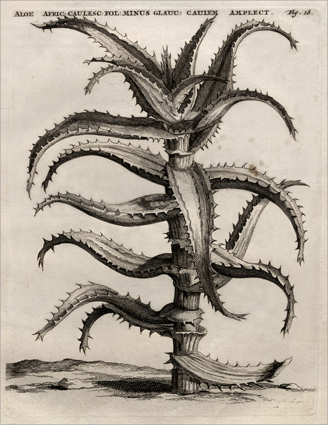 Fig. 18 Fig. 18