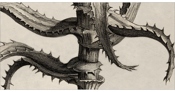 particolare della Fig. 18 particolare della Fig. 18