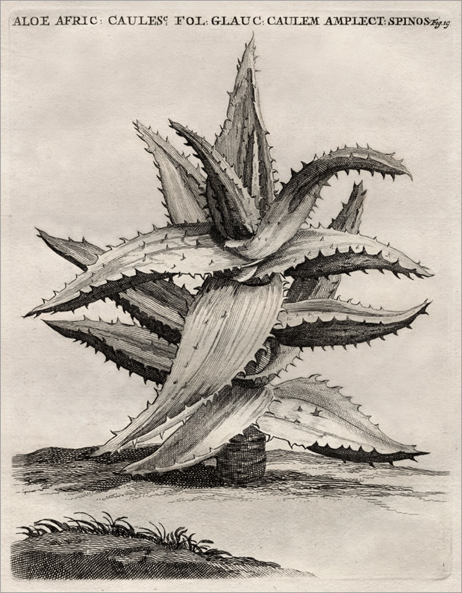 Fig. 19 Fig. 19