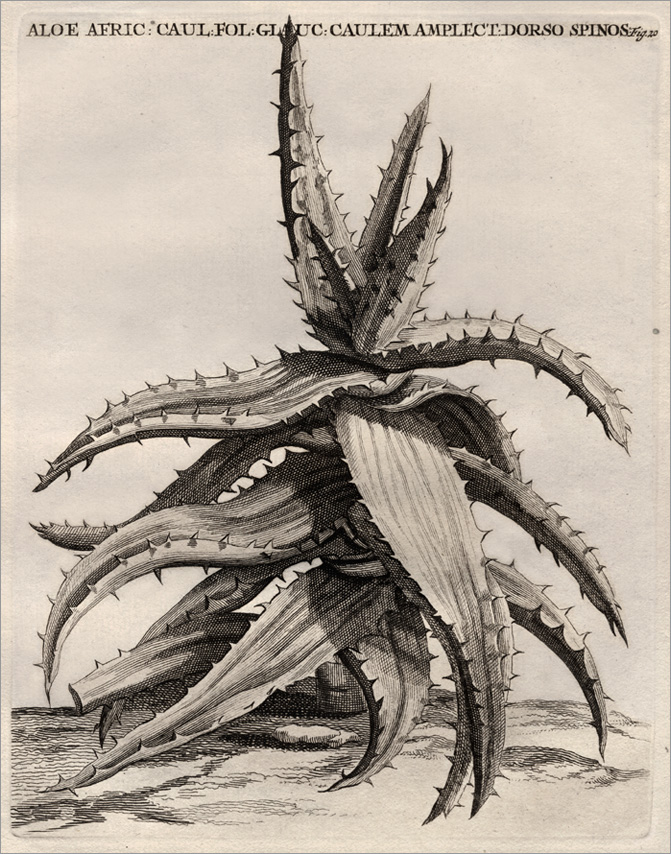Fig. 20 Fig. 20