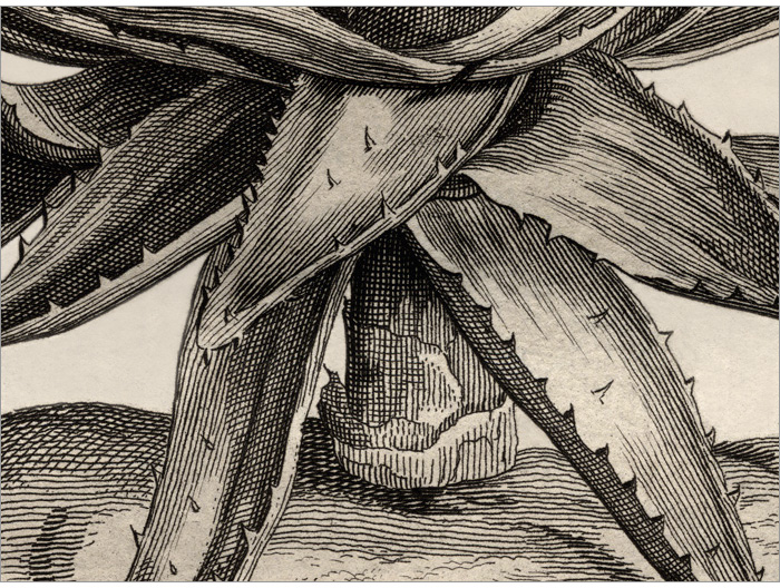 particolare della Fig. 22 particolare della Fig. 22