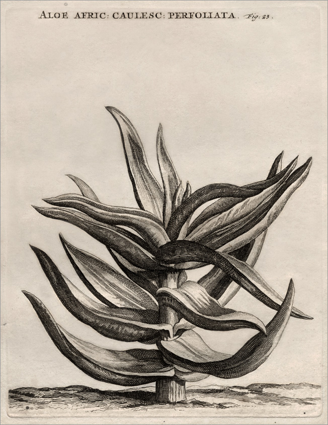 Fig. 23 Fig. 23