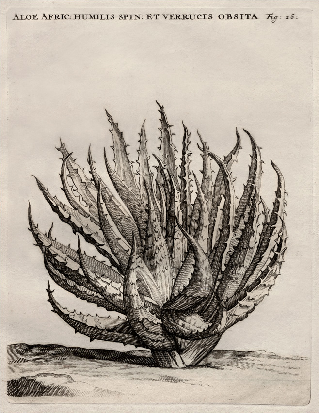 Fig. 26 Fig. 26