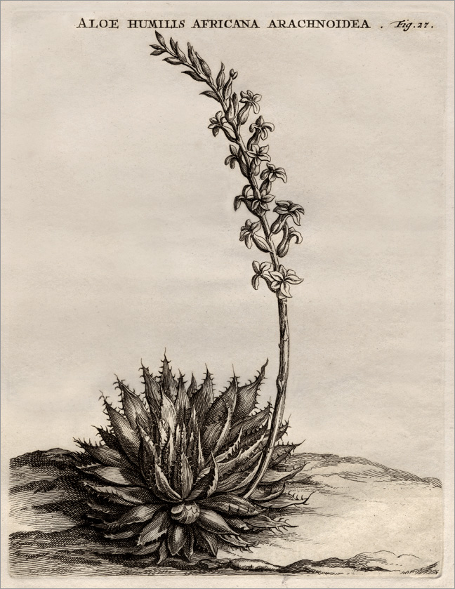 Fig. 27 Fig. 27