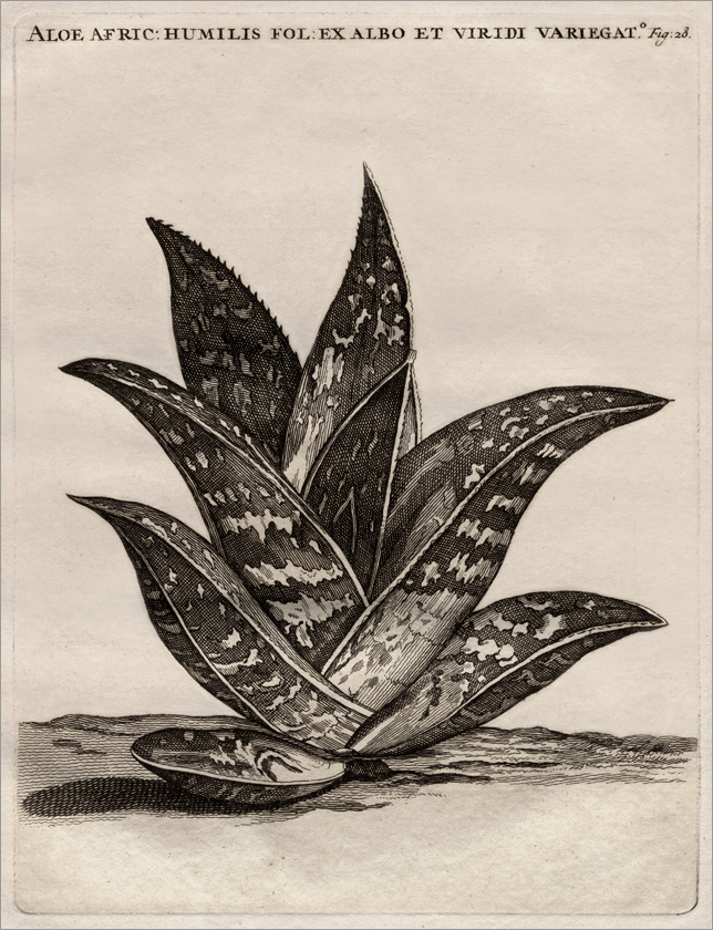 Fig. 28 Fig. 28