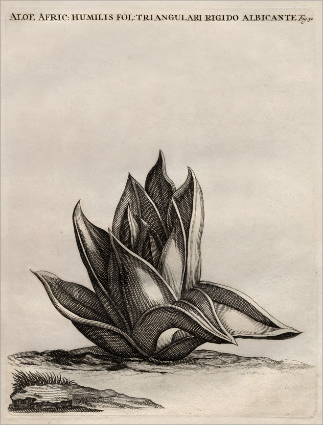 Fig. 30 Fig. 30
