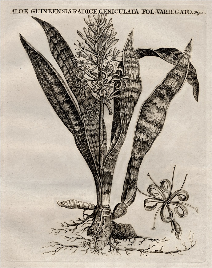 Fig. 33 Fig. 33